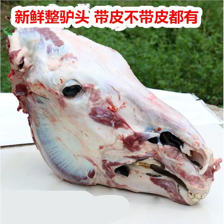 驴头大驴头驴头去皮驴头全驴宴清洗干净去毛去油一整只头驴板肠