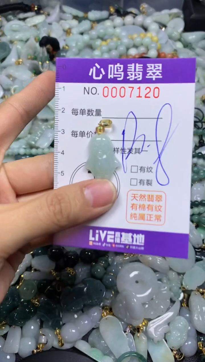 【闪购商品】翡翠颈饰未镶嵌闪购007120