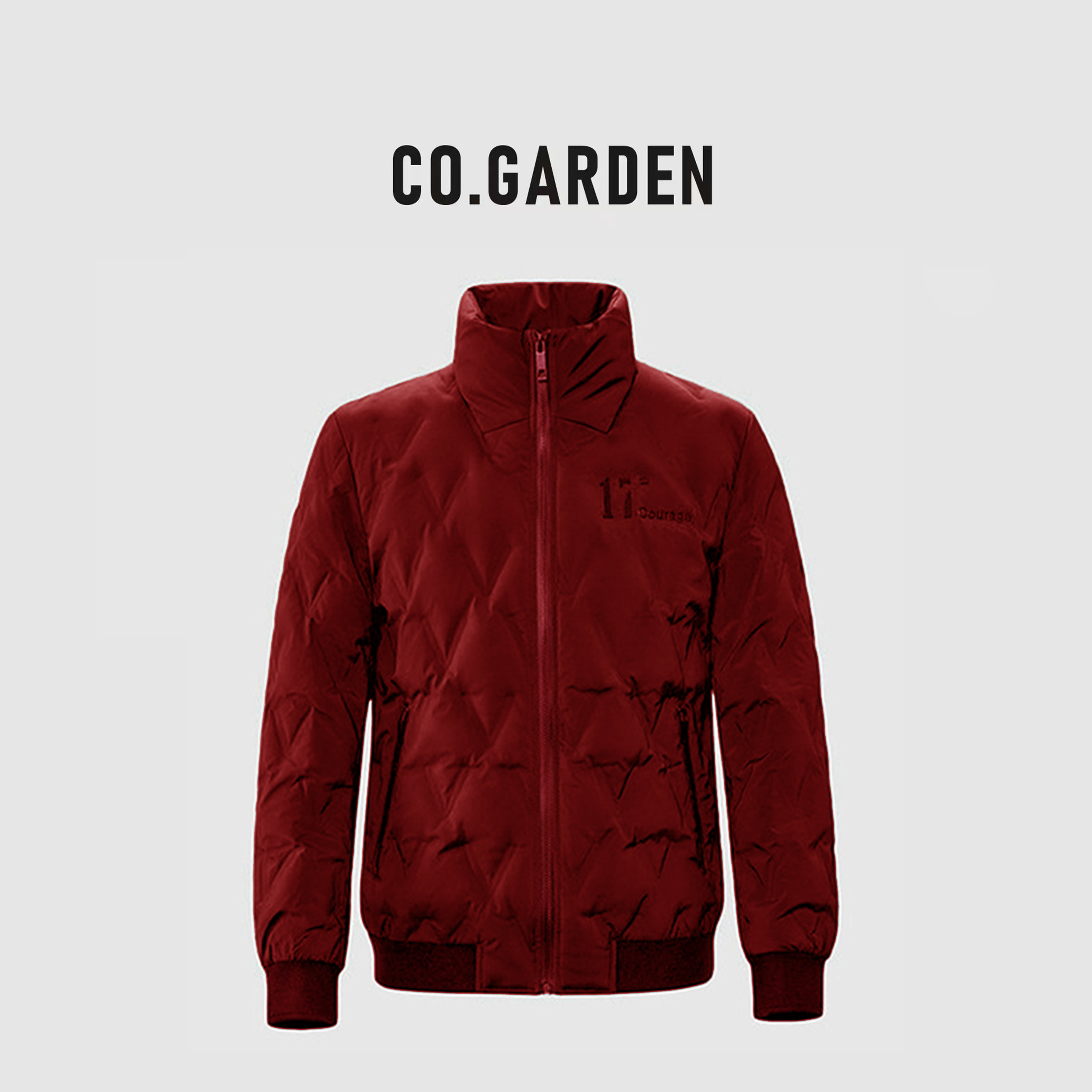 047-H2000新款时尚百搭舒适防风保暖3色羽绒服