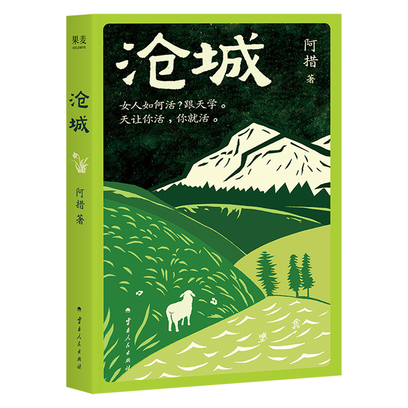 沧城 新华书店正版图书