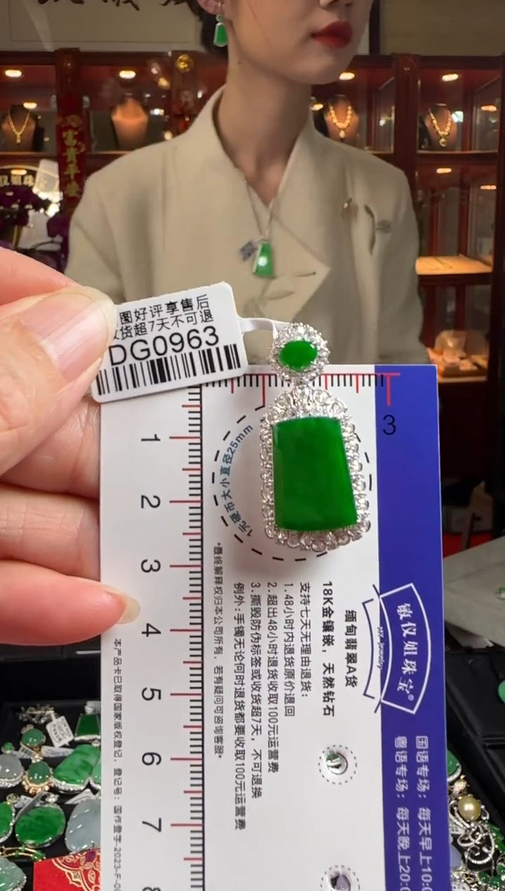 【闪购商品】翡翠颈饰18K金镶嵌DG0963冰辣绿无事牌