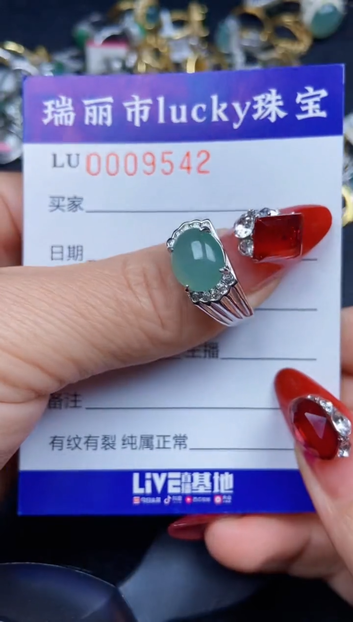 【闪购商品】翡翠颈饰银S925镶嵌9542