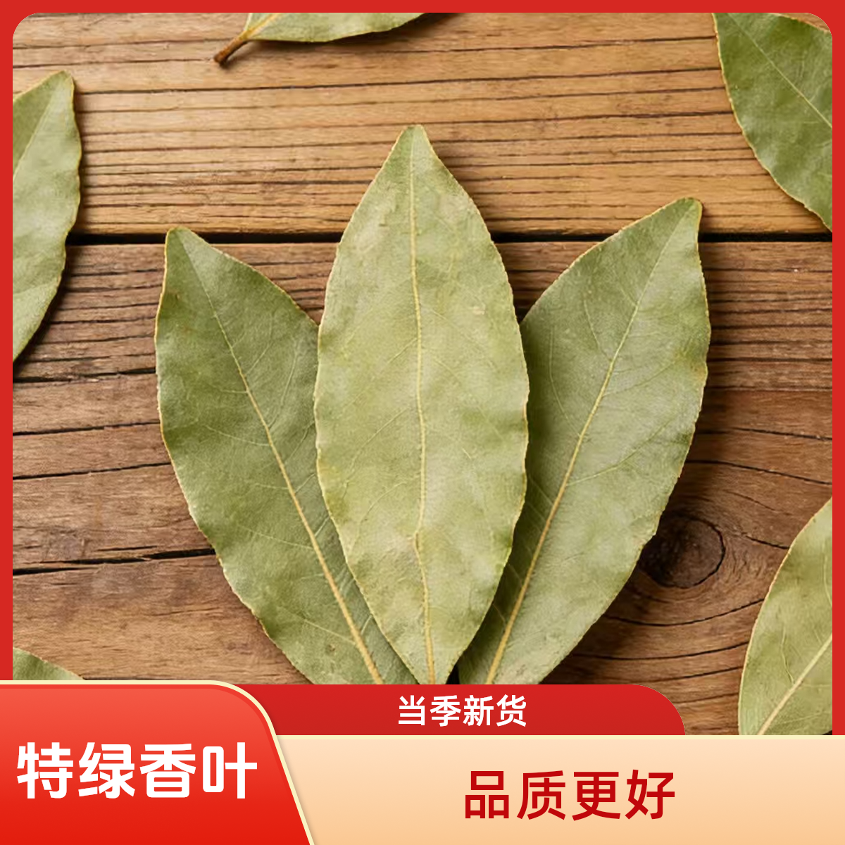 广西头茬特绿香叶新货无熏硫香料商用家用卤肉炖肉增香必备