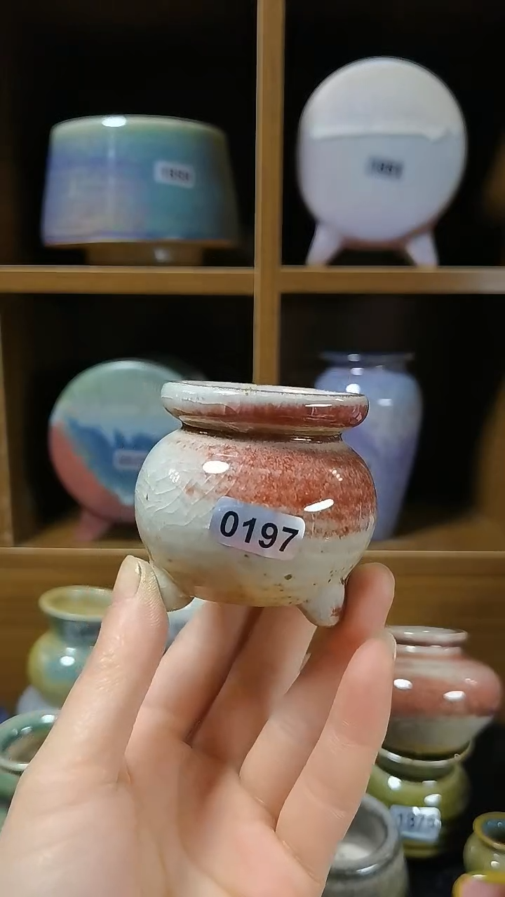 【闪购商品】红陶0197