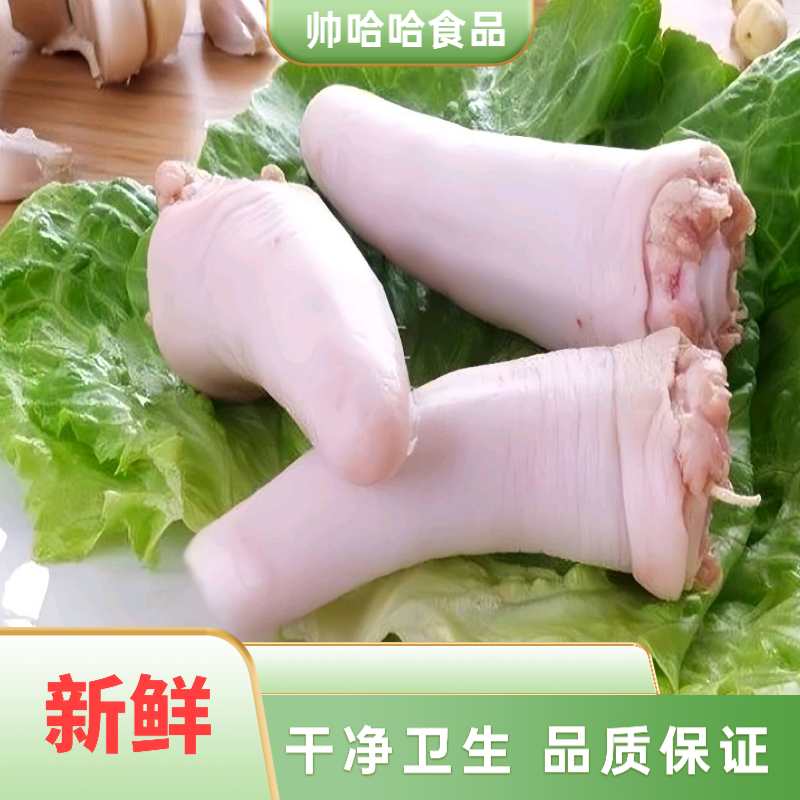 优选苏北中短猪尾巴新鲜整根生鲜适合红烧生猪尾巴土猪尾巴正宗