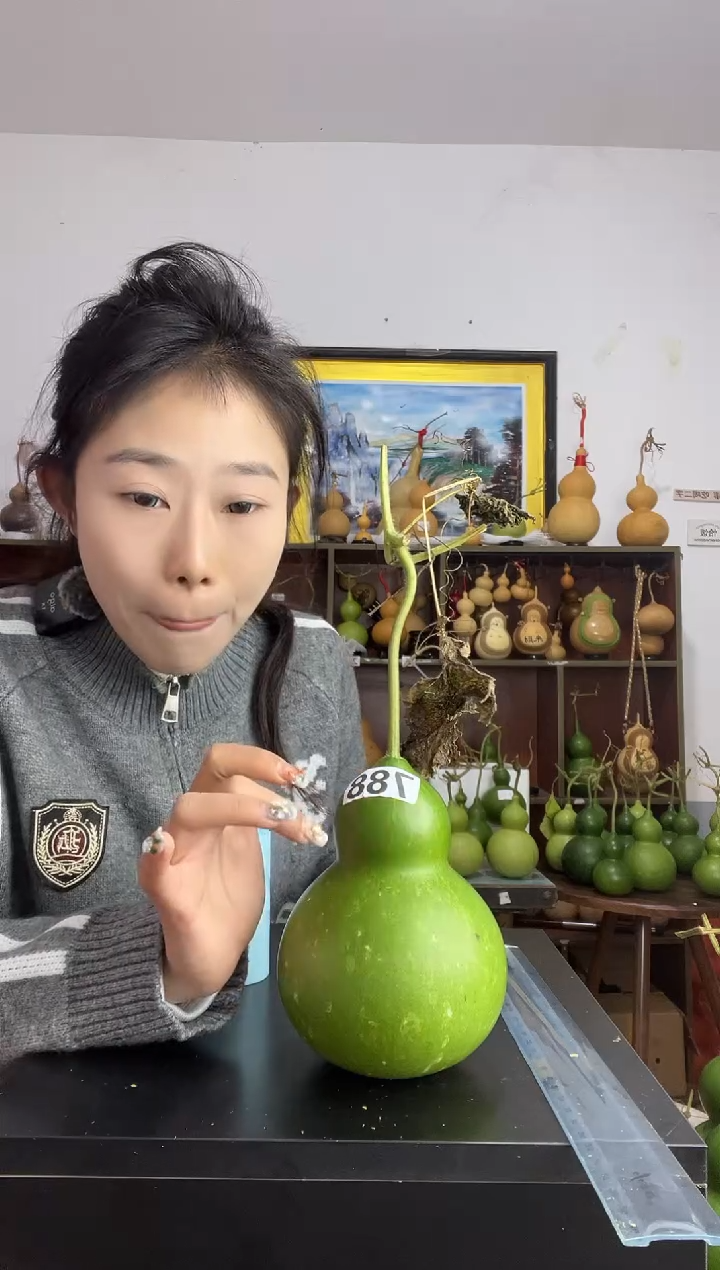 788天然葫芦摆件 一物一拍龙头不保售后