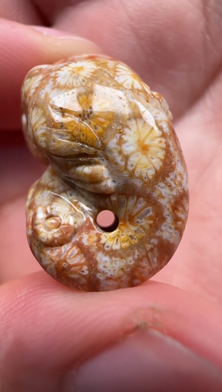 【闪购商品】硅化珊瑚（珊瑚玉）颈饰未镶嵌721