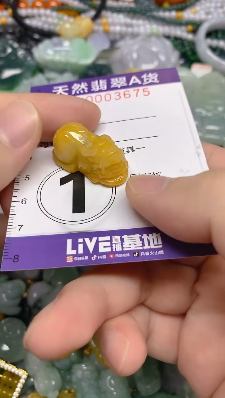 颈饰未镶嵌翡翠0003675