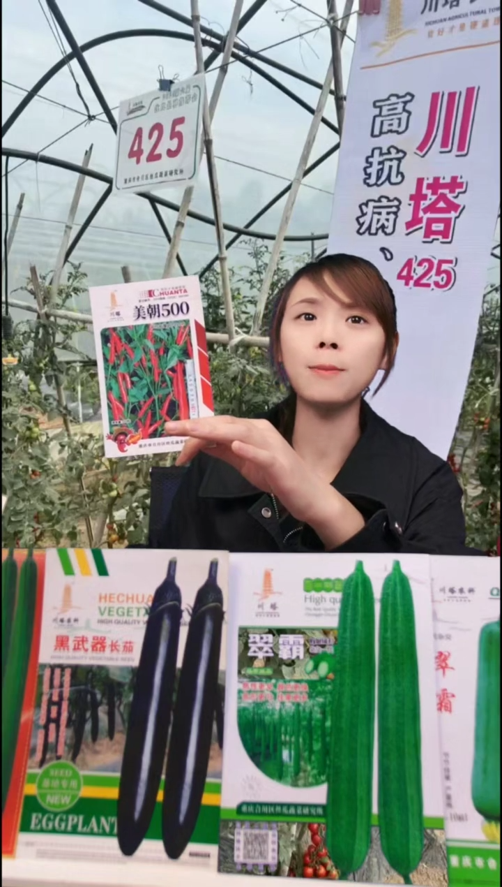 单生辣椒朝天椒青椒红椒可上市