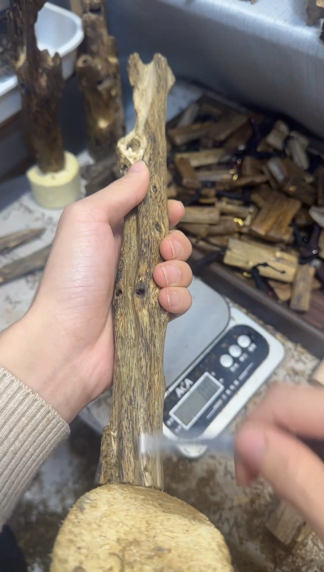 沉香沉香碎屑乌身原叶老白棋黄油