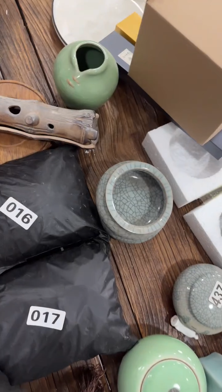 【203 】 八哥专拍