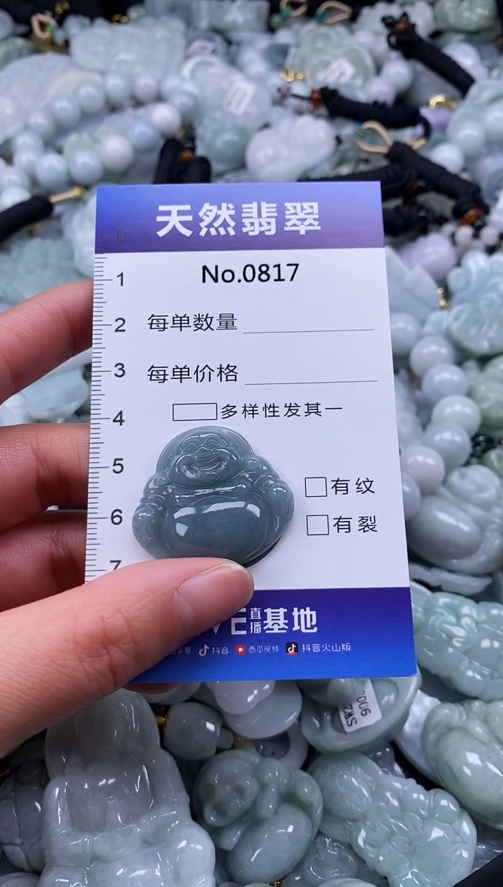 【闪购商品】翡翠颈饰未镶嵌缅甸A货翡翠0817