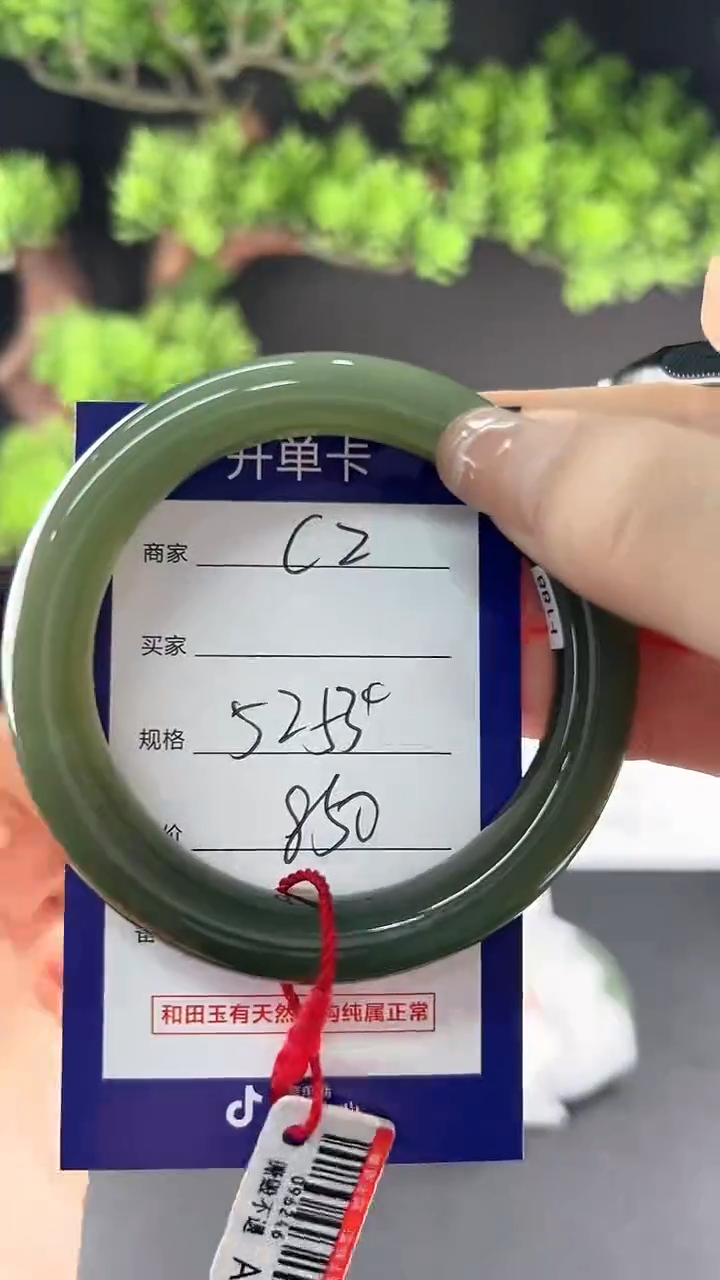 【闪购商品】和田玉未镶嵌手镯微色差C2