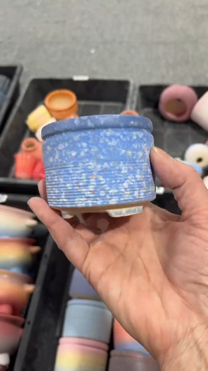 【闪购商品】红陶6.5*5