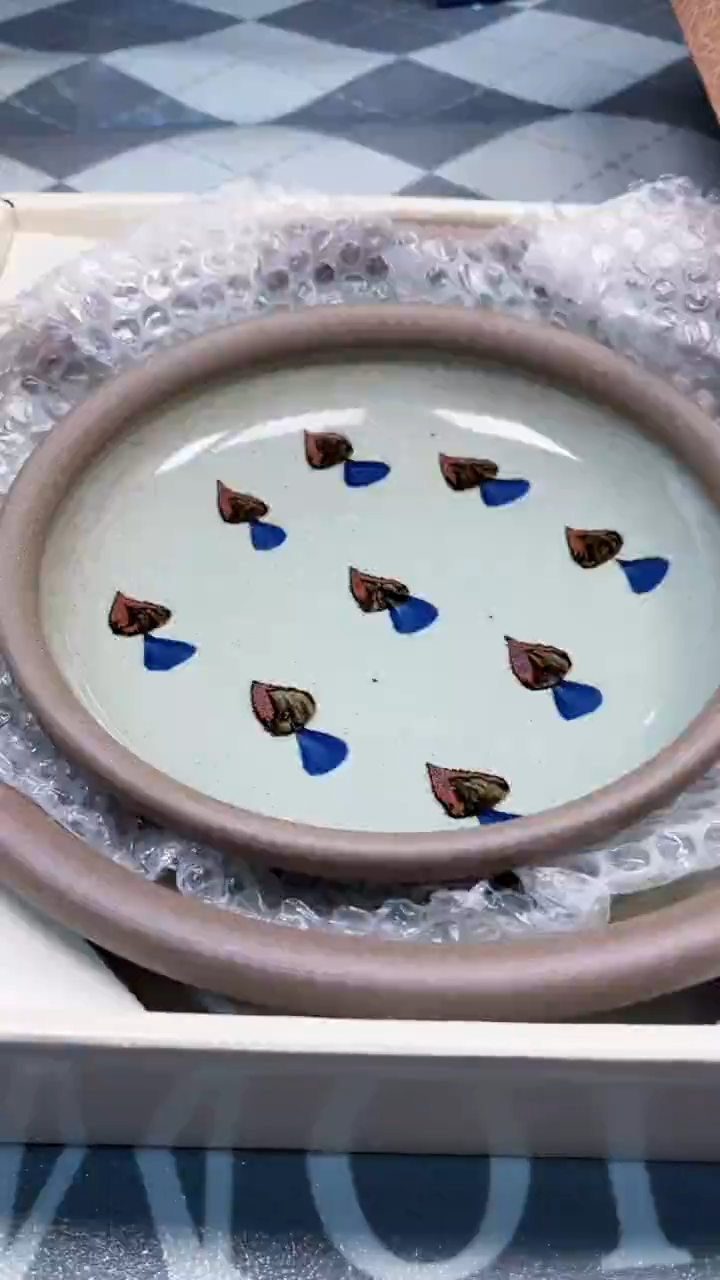 瓷片陶瓷如图所示周边