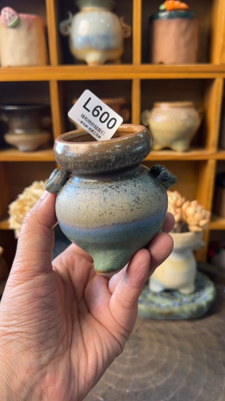 600 内口4【多肉花盆多肉盆】