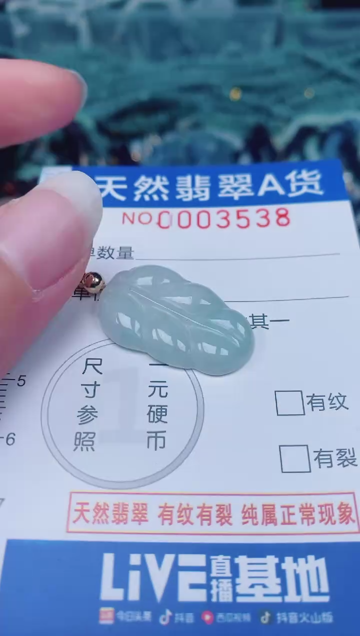 颈饰未镶嵌翡翠00003538