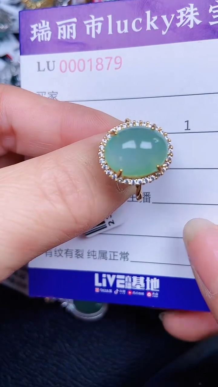 颈饰银S925镶嵌翡翠1879