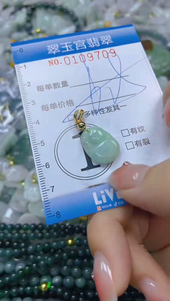 翡翠未镶嵌颈饰闪购0109709