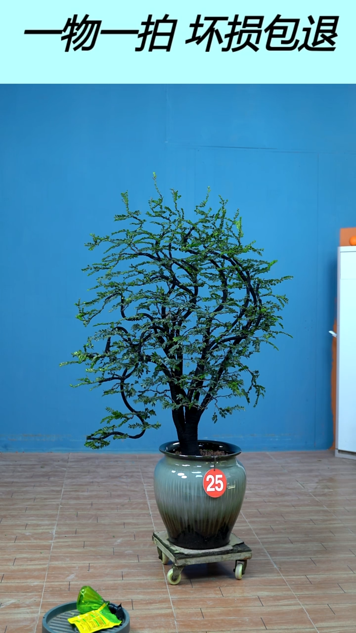 以实际为准释*广东小叶紫檀