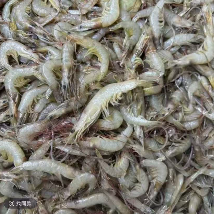 海捕小虾羊毛虾发顺丰快递 加冰速冻发货大小不一介意勿拍 4斤起