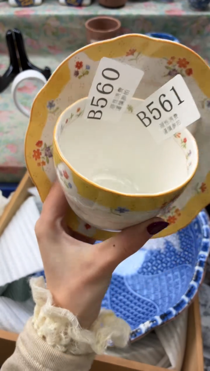 瓷片朵*鱼       B561