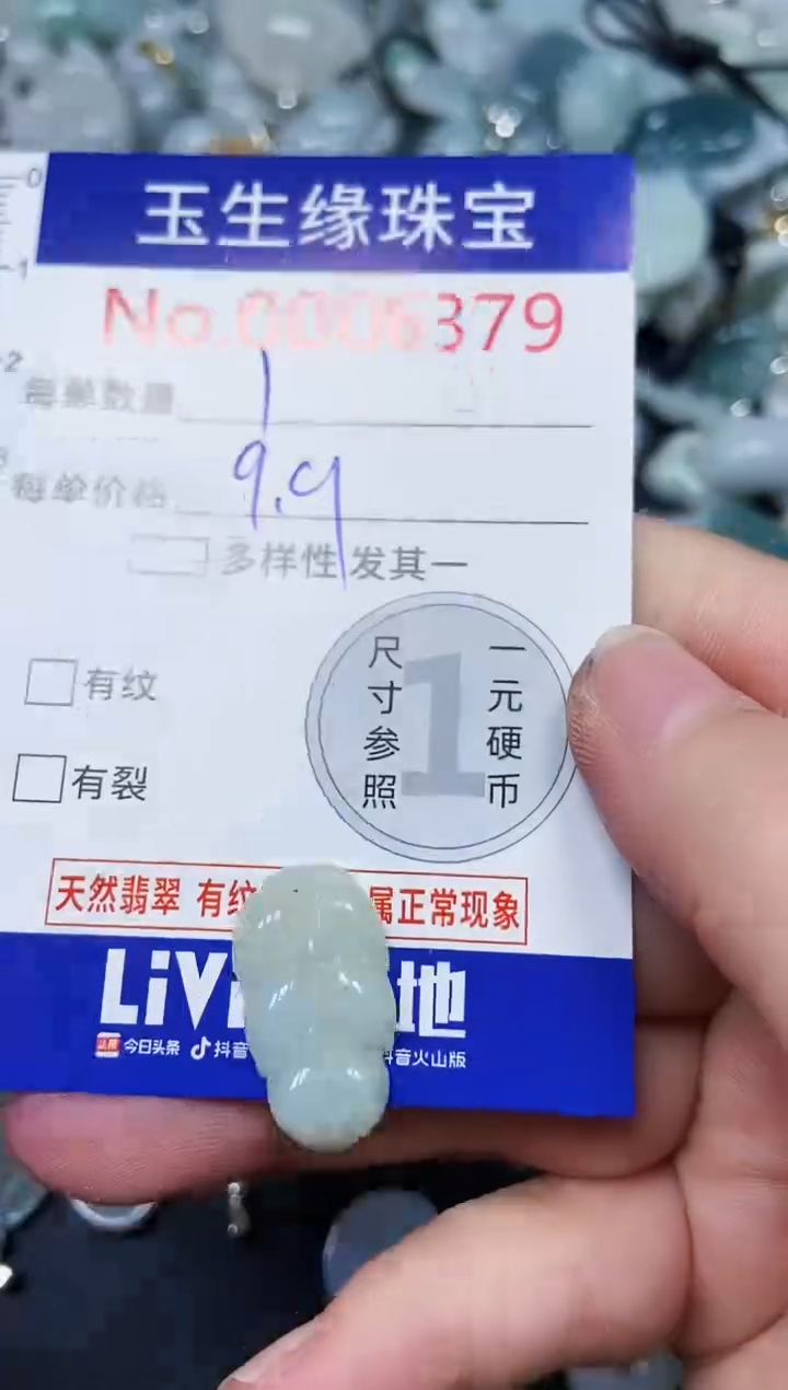 【闪购商品】翡翠颈饰未镶嵌闪购00006379