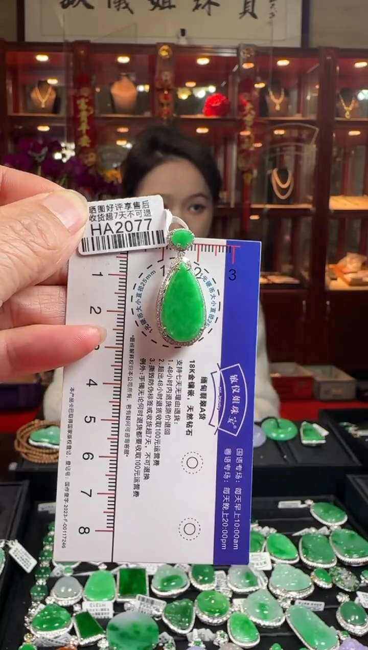 【闪购商品】翡翠颈饰18K金镶嵌HA2077辣绿滴水