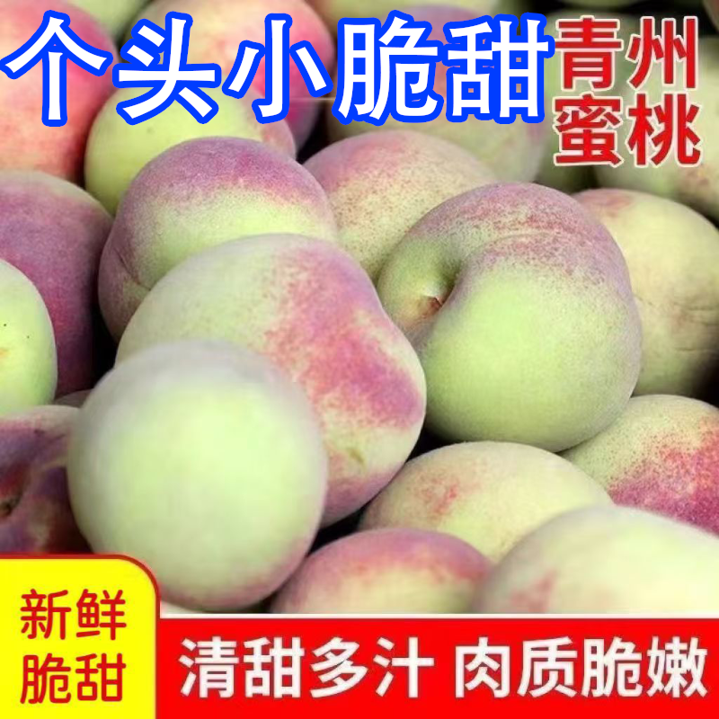  【脆甜蜜桃】青州小蜜桃新鲜采摘脆甜多汁肉厚老少适宜水果