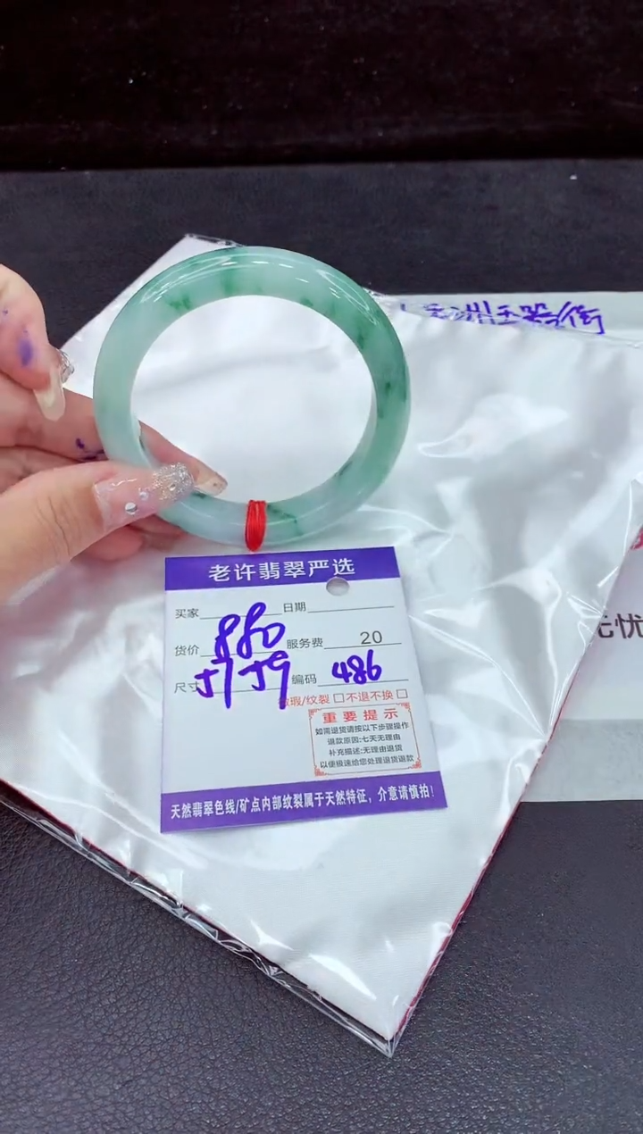 未镶嵌手镯翡翠1