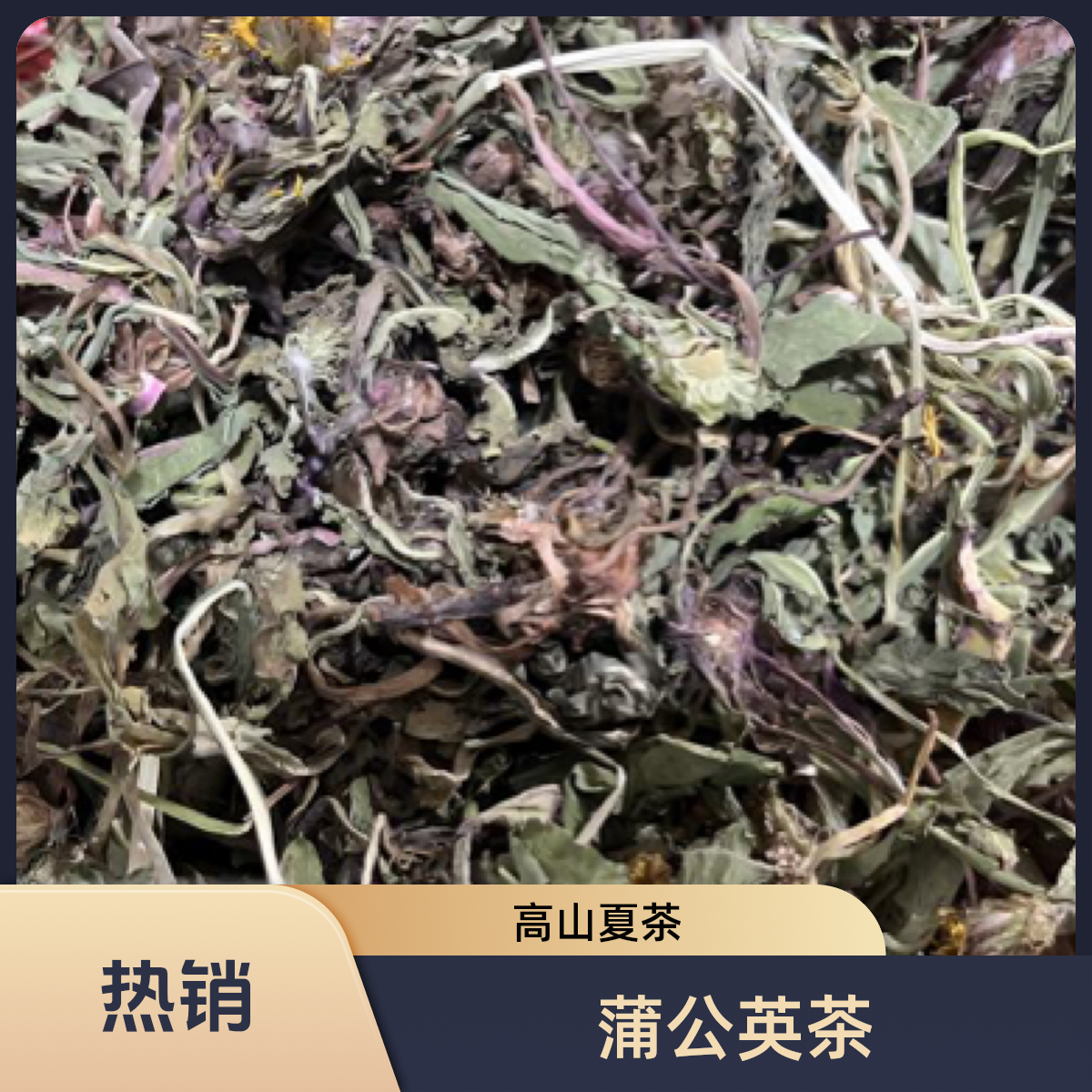 蒲公英茶、夏茶高山农产品（包邮到家）