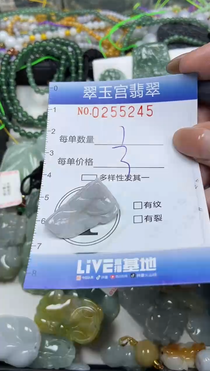 颈饰未镶嵌翡翠闪购C0255245