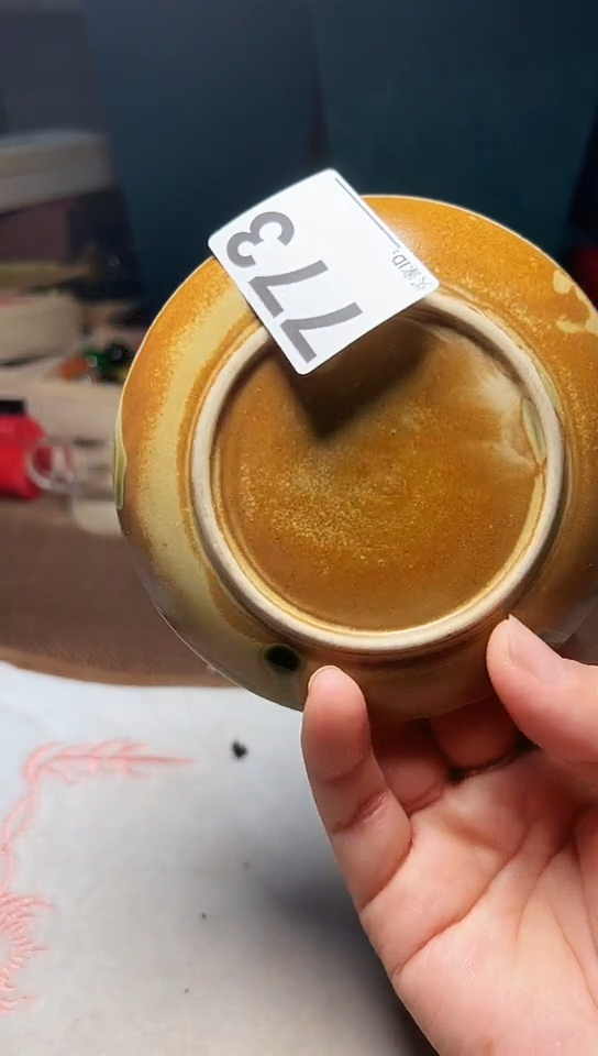 【闪购商品】773-2            