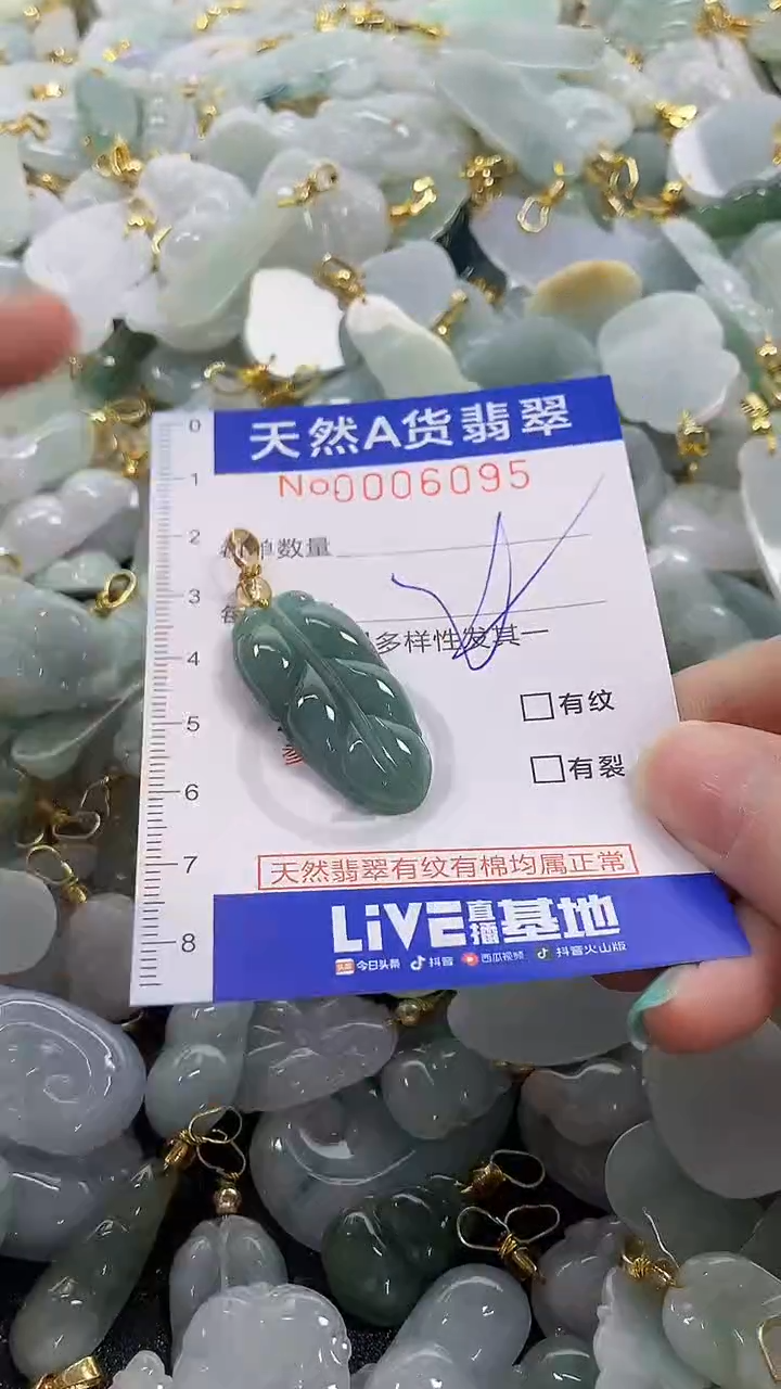 颈饰未镶嵌翡翠纯天然a货翡翠