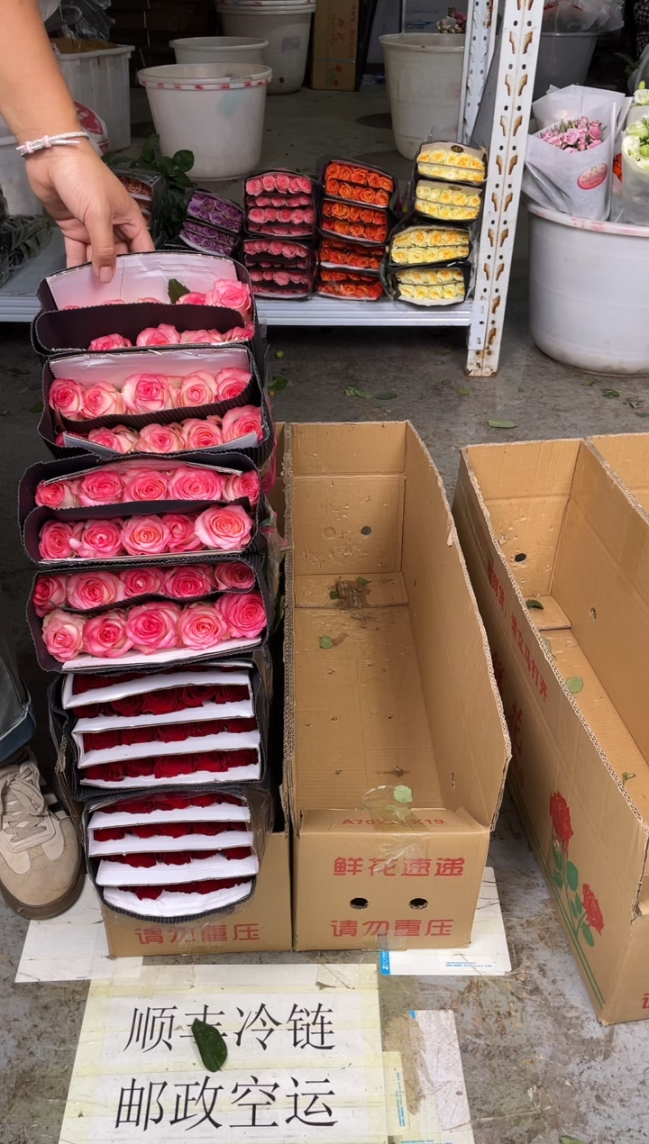 高原红40枝+艾沙40枝