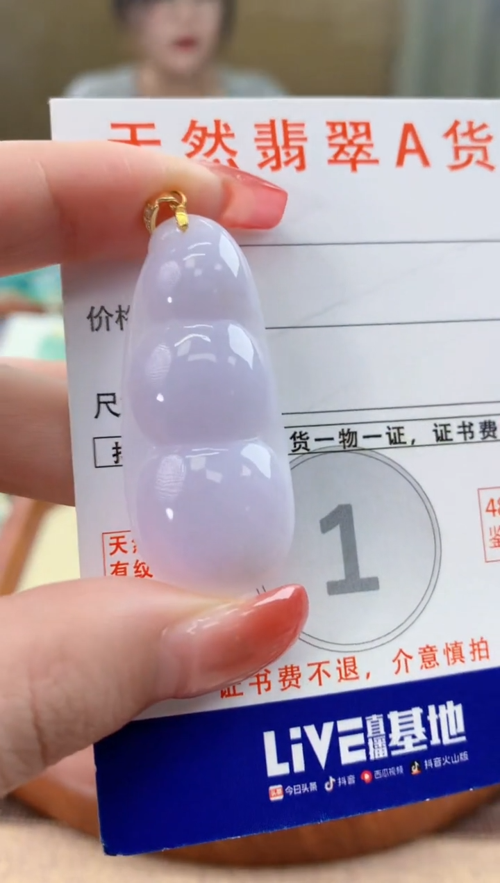 颈饰未镶嵌翡翠天然A货翡翠挂件