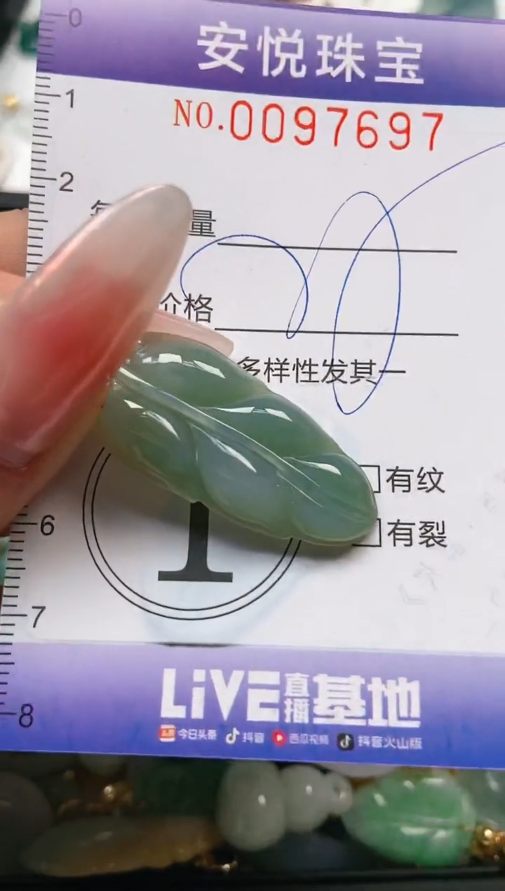 【闪购商品】翡翠颈饰未镶嵌闪购0097697