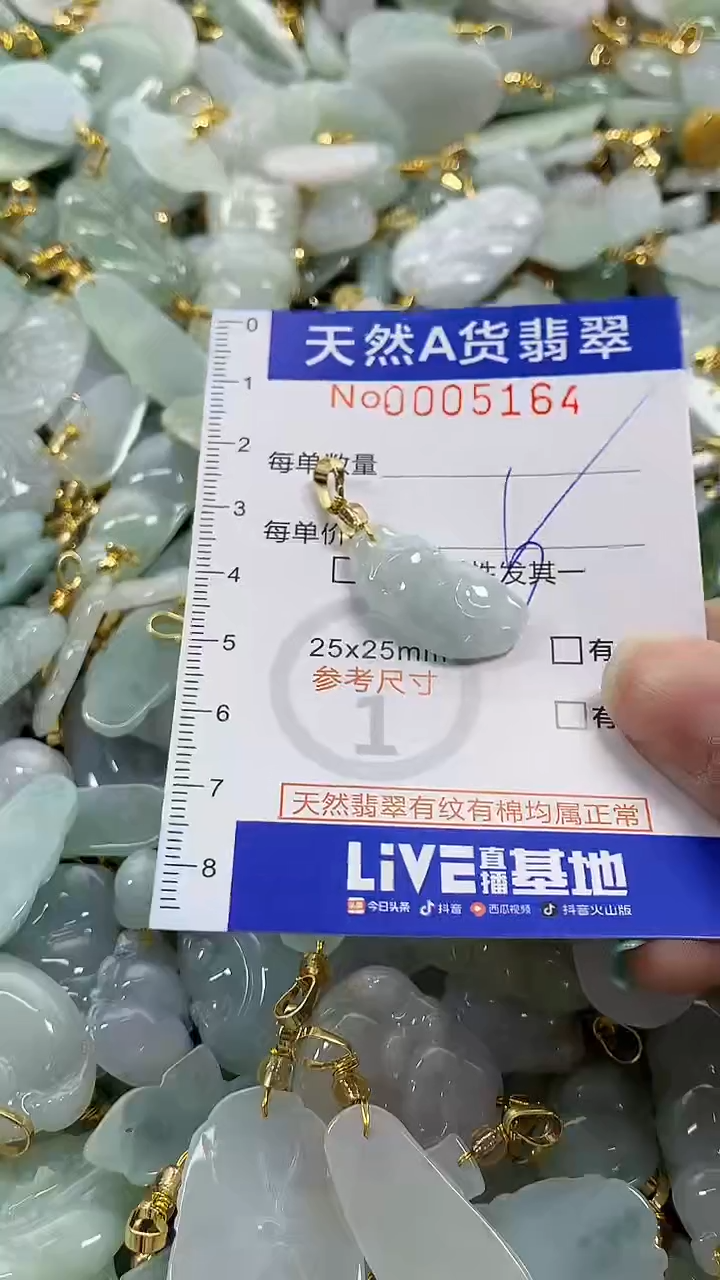 颈饰未镶嵌翡翠纯天然货翡翠