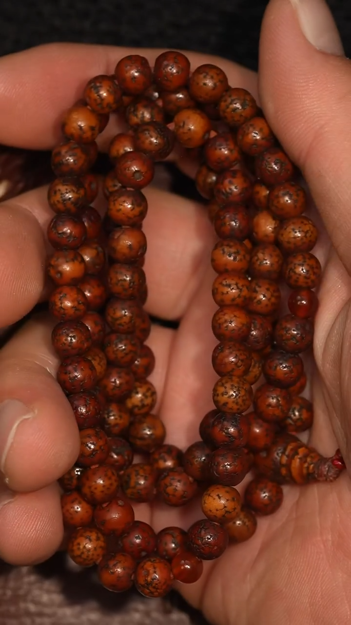 冲赛康胡子哥，藏传念珠243