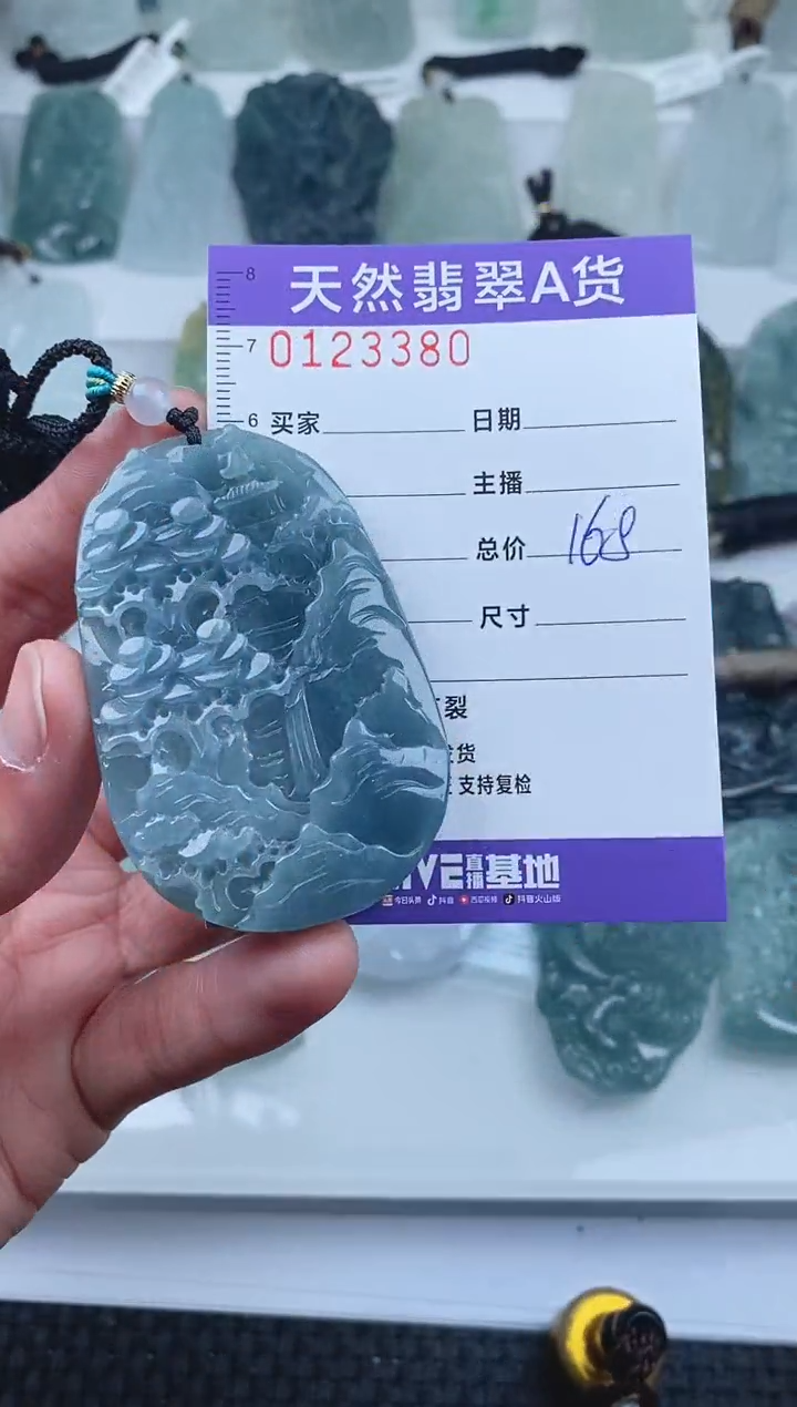 【闪购商品】翡翠颈饰未镶嵌        380