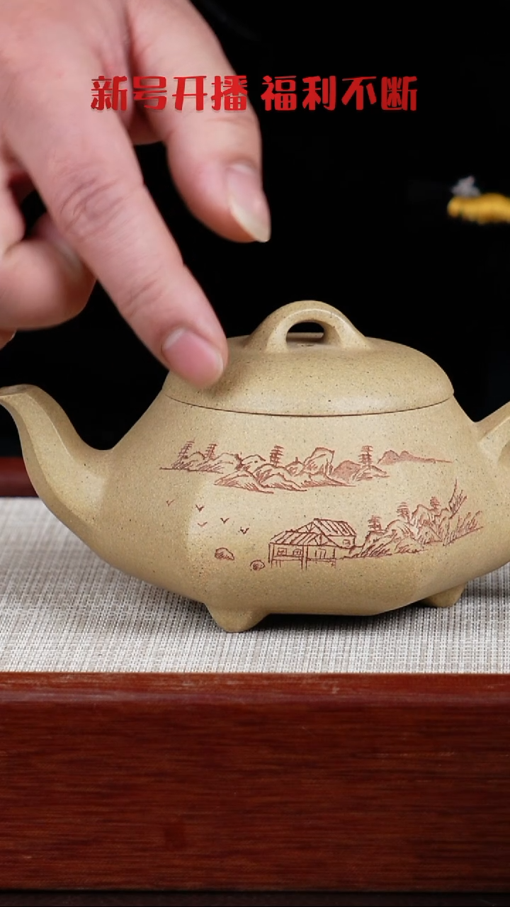 【闪购商品】段泥茶壶宜兴紫砂壶   0202  A3