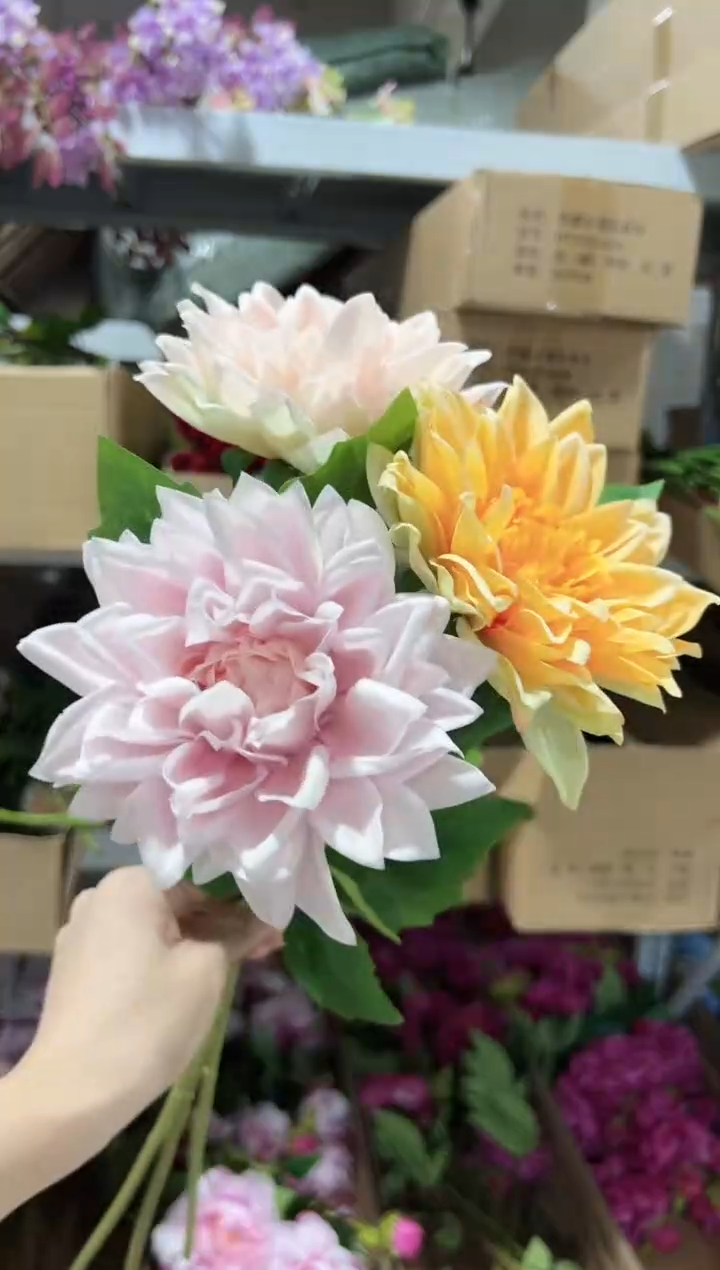 3枝混色手感保湿大丽花（单头）