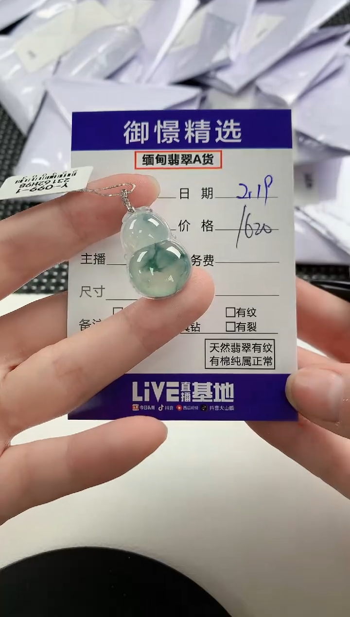 【闪购商品】翡翠颈饰未镶嵌41