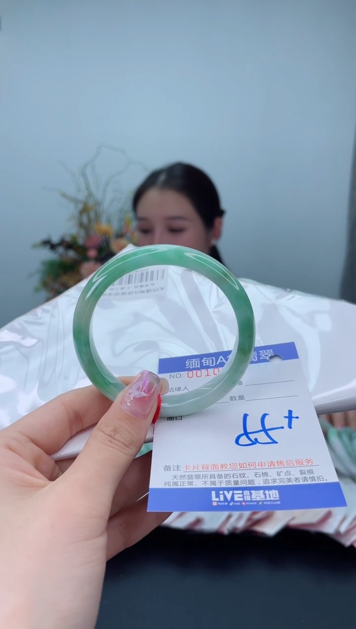 未镶嵌手镯翡翠1