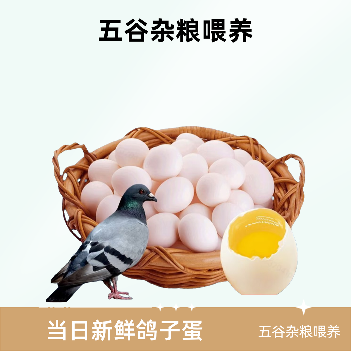 正宗农家散养鸽子蛋