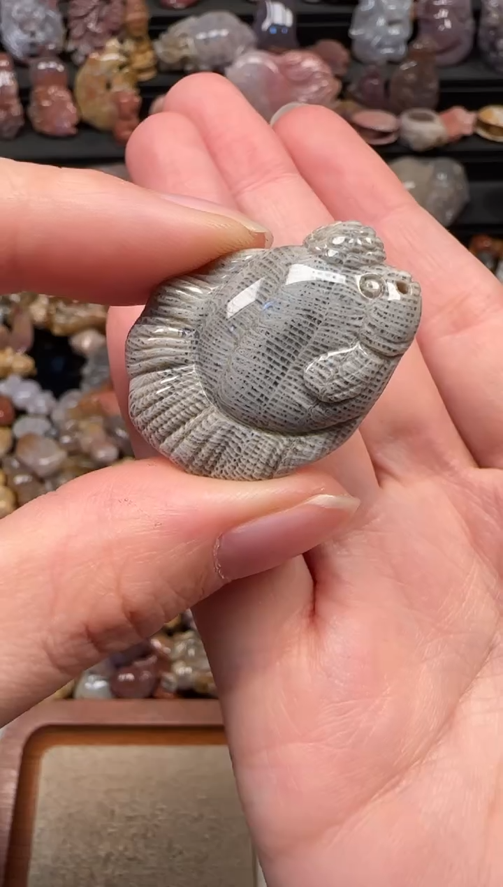 颈饰未镶嵌硅化珊瑚（珊瑚玉）689