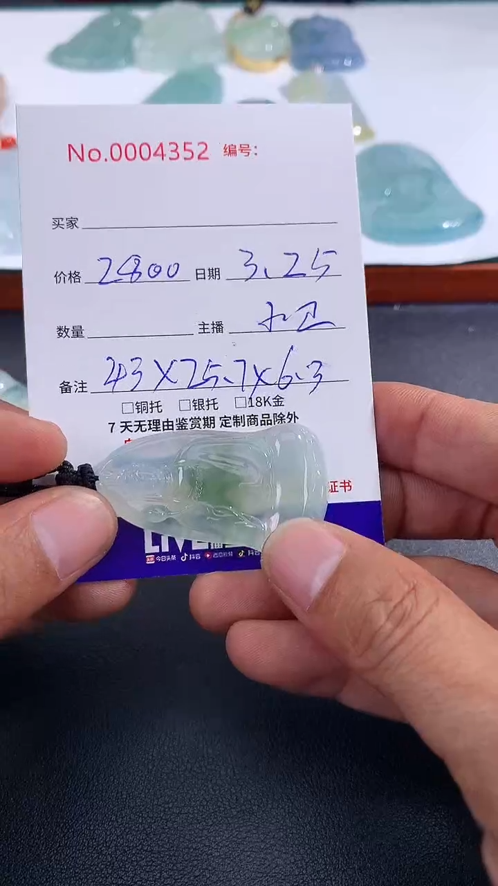 翡翠未镶嵌颈饰素衣
