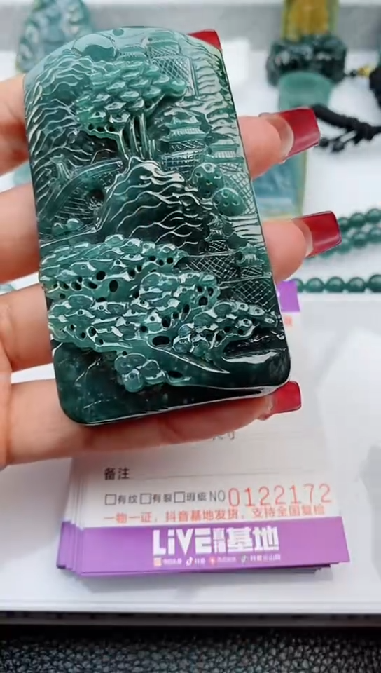 【闪购商品】翡翠颈饰未镶嵌            