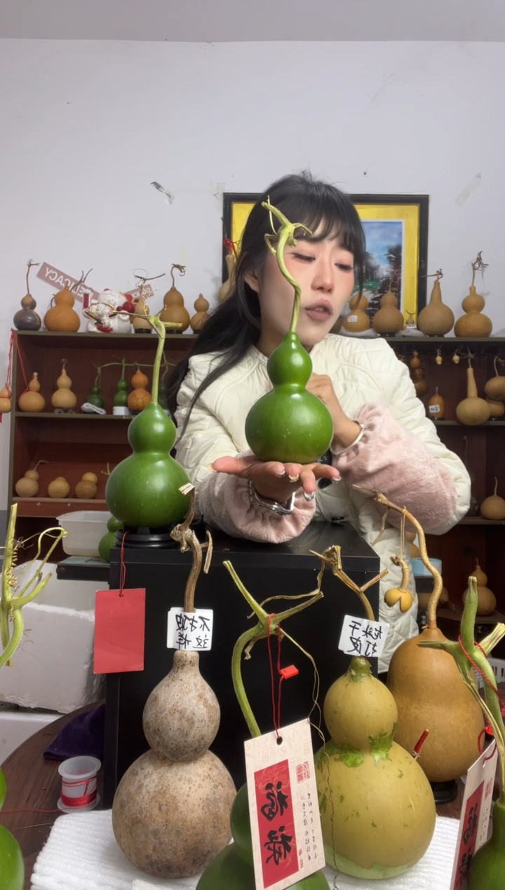 267天然葫芦摆件 一物一拍龙头不保售后