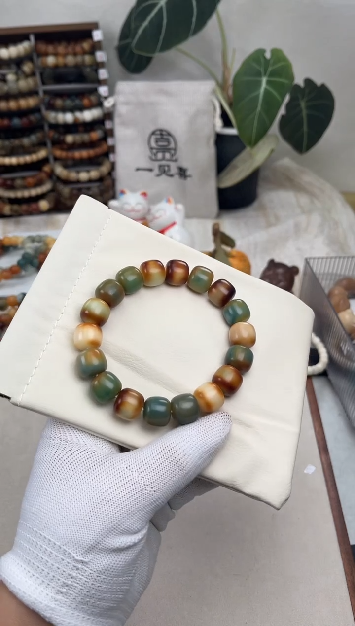 【闪购商品】菩提根/象牙果吊坠f100卡14 